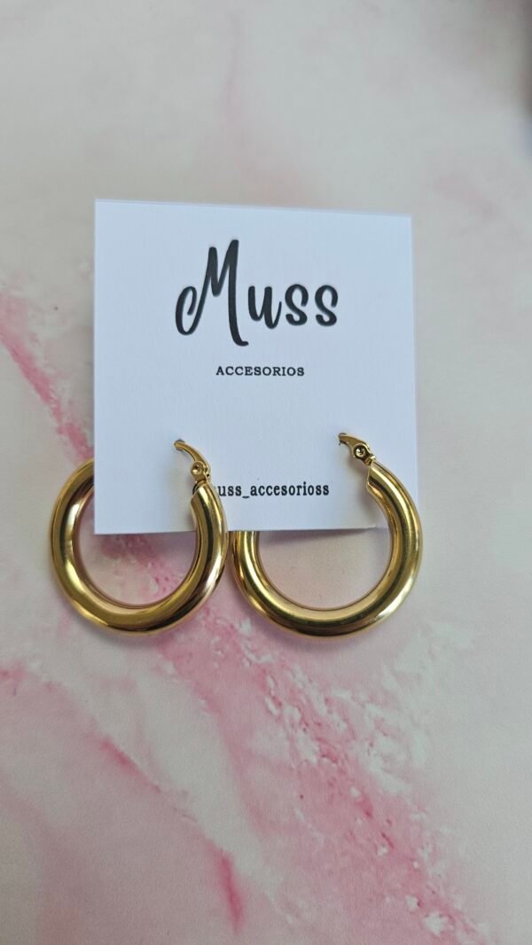 20231120_162412 Aros