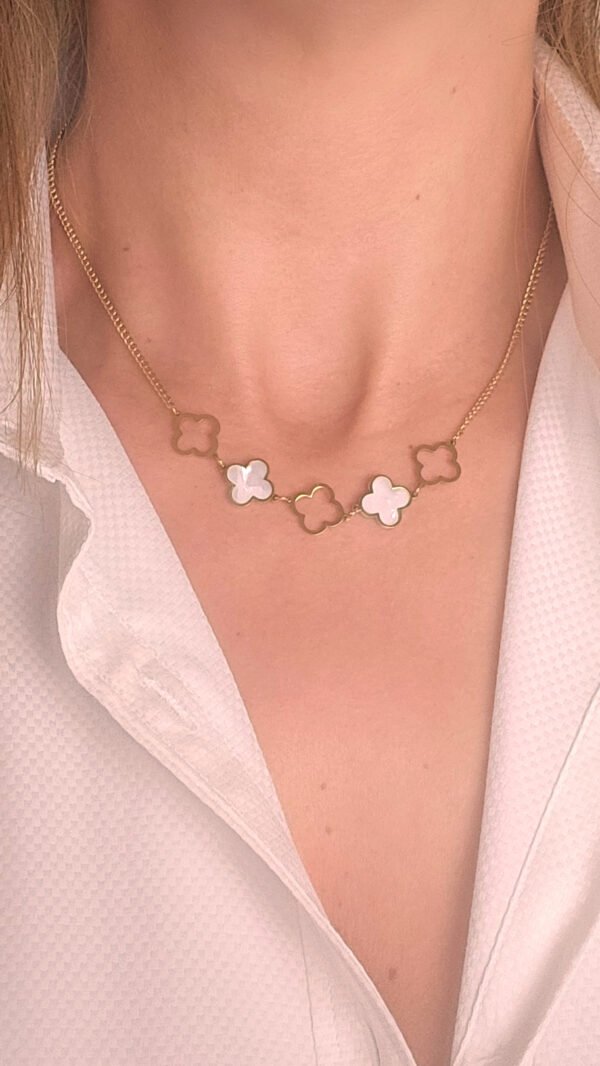 20241205_175206 Torne