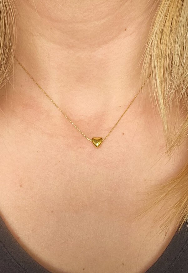 20250207_173154 Doshia