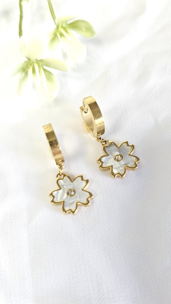 20250221_174818 Sage