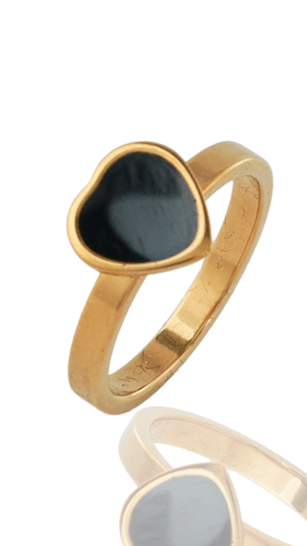 ANILLOS FONDOS BLANCO Tolza Dorado