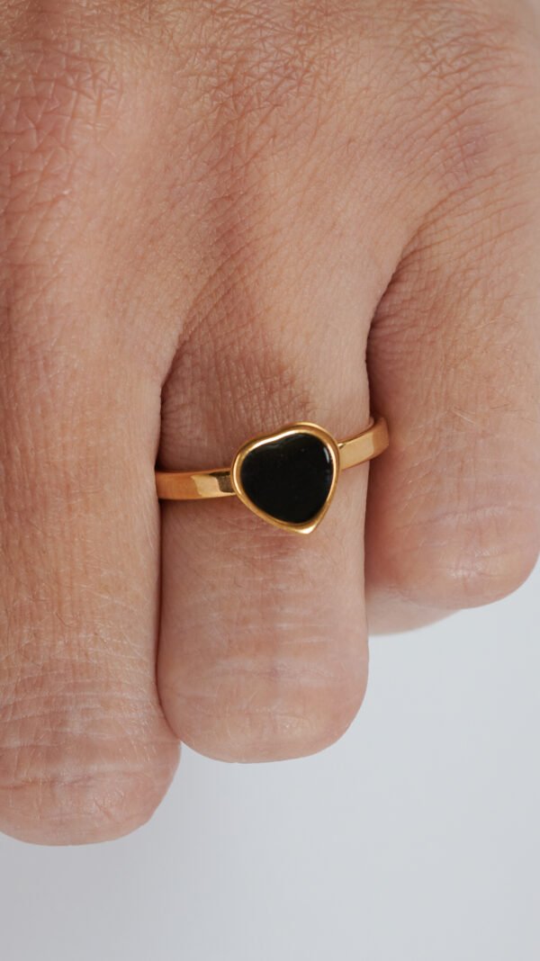 DSC_1745 1 Tolza Dorado