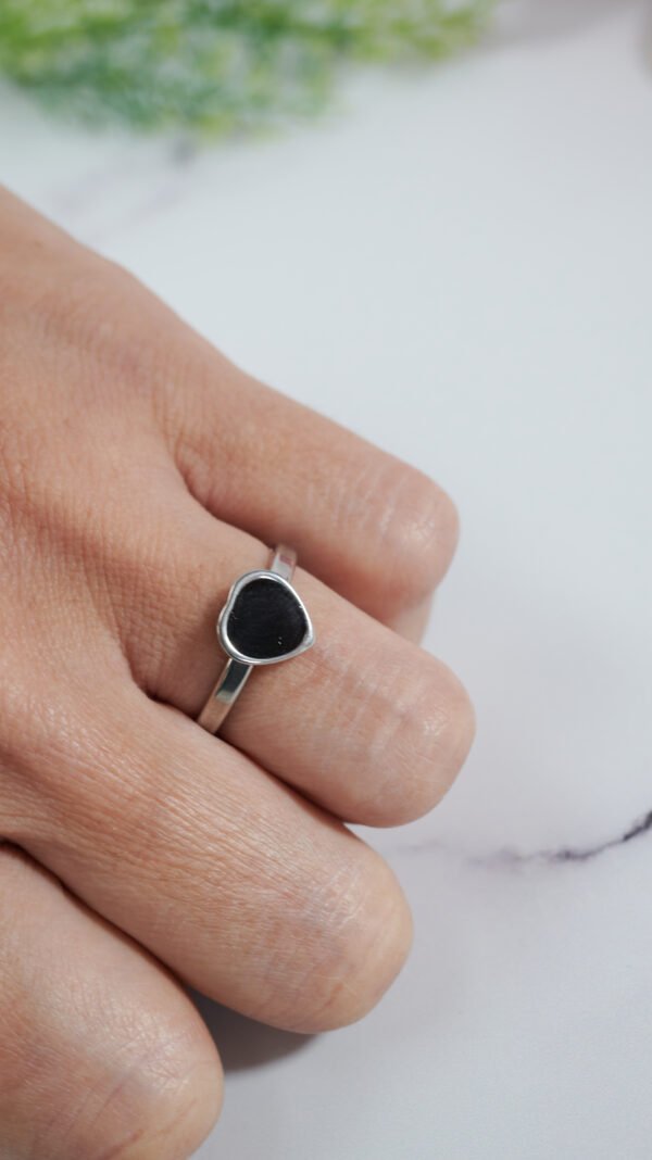 DSC_1765 Tolza Plateado