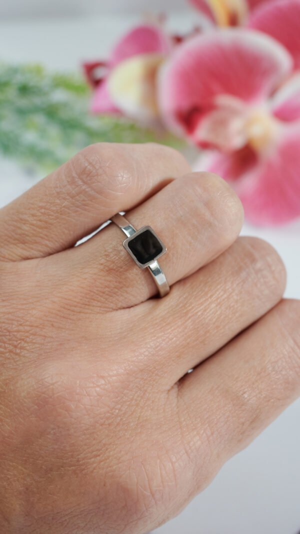 DSC_1776 1 Renan Plateado