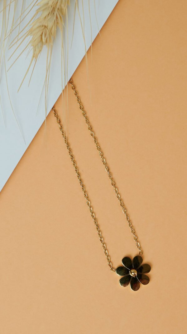 DSC_2632 1 Collar Benora