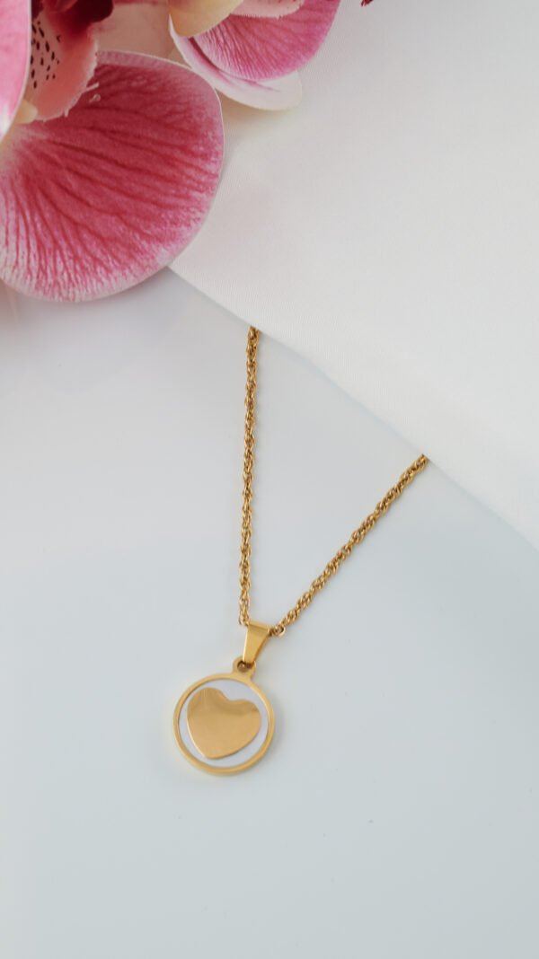 DSC_3118 Corazón en nacar