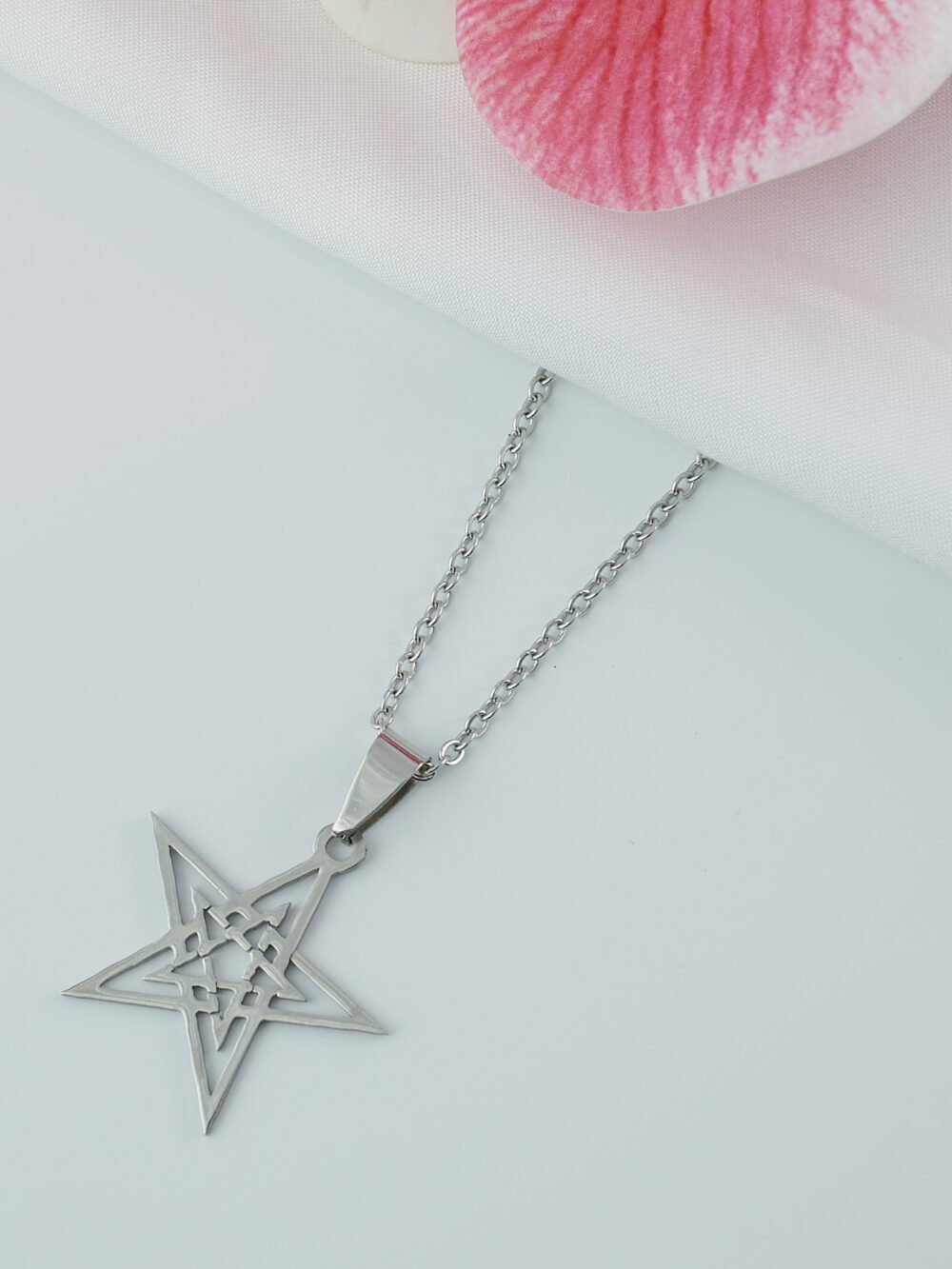 DSC_3137 Estrella de Belén