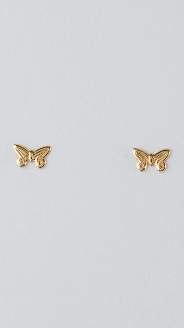 DSC_3345 Mariposa dorada