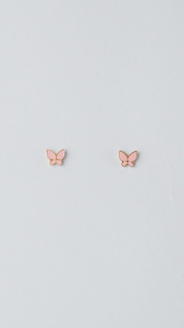 DSC_3361 Mariposa rosada