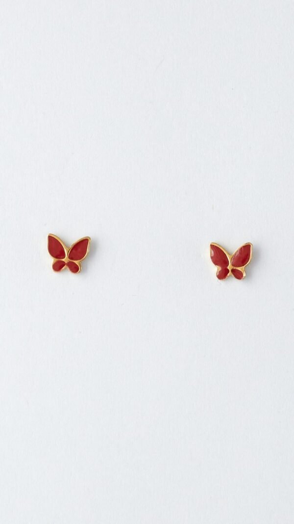 DSC_3363 Mariposa Roja