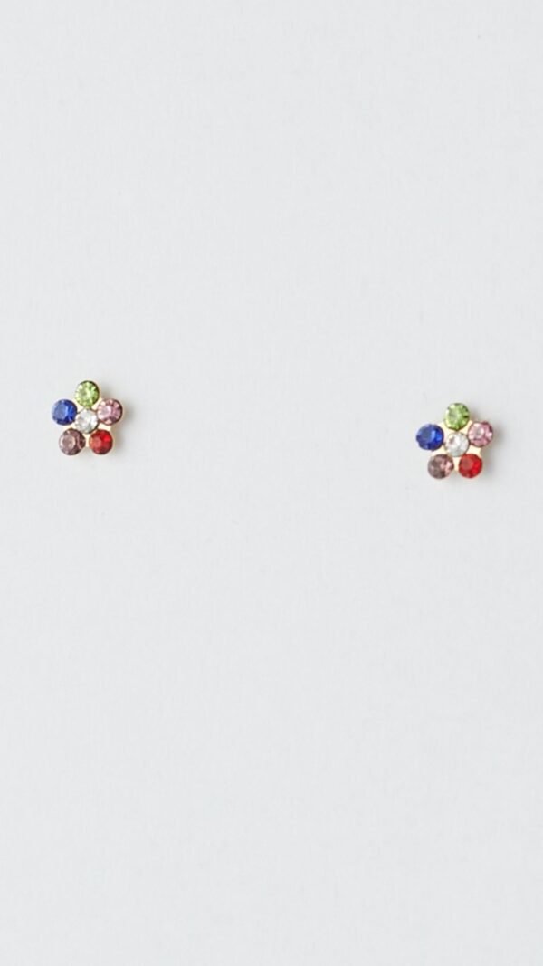 DSC_3374 Flor multicolor